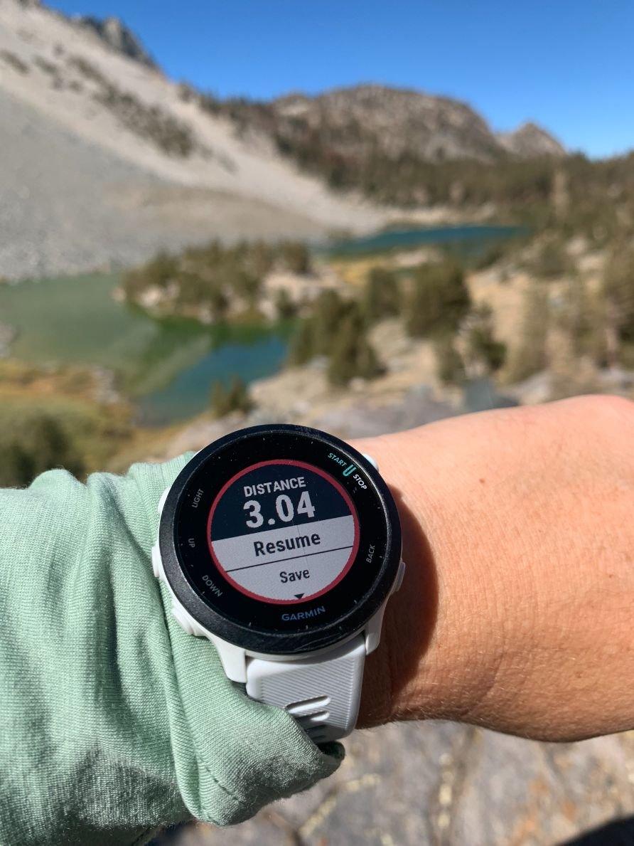 20mm Quick Release Garmin