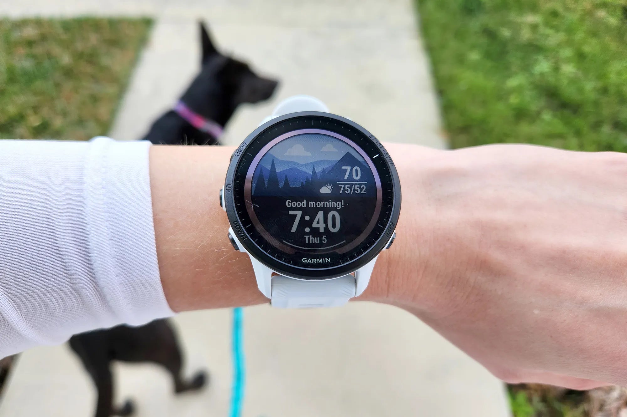 22mm Quick Release Garmin